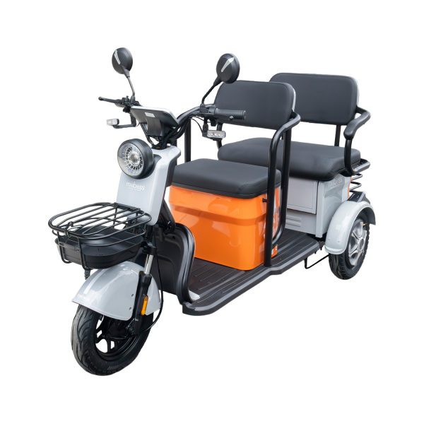 Triciclo Eléctrico Safari XL 60V Gris