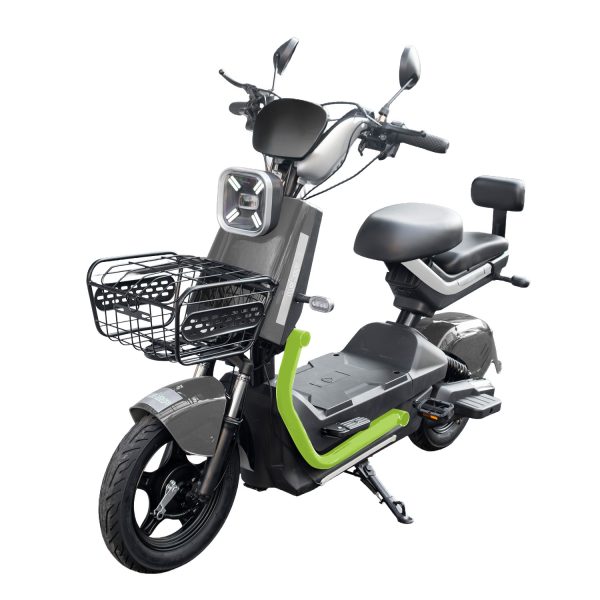 Saijian Gris Bicicleta Eléctrica